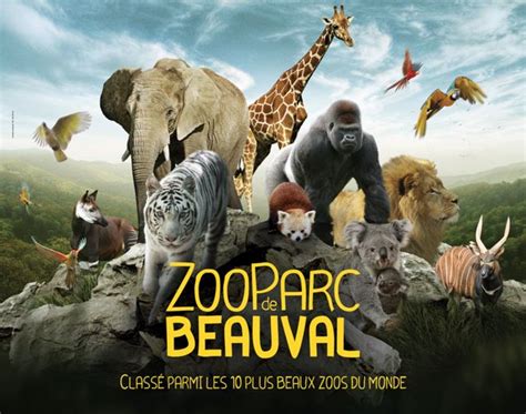 Une nuit au zoo