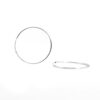 Celeste Hooks Earring