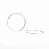 Celeste Hooks Earring