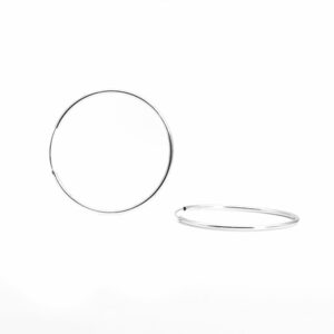 Celeste Hooks Earring
