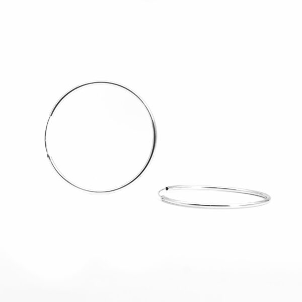Celeste Hooks Earring