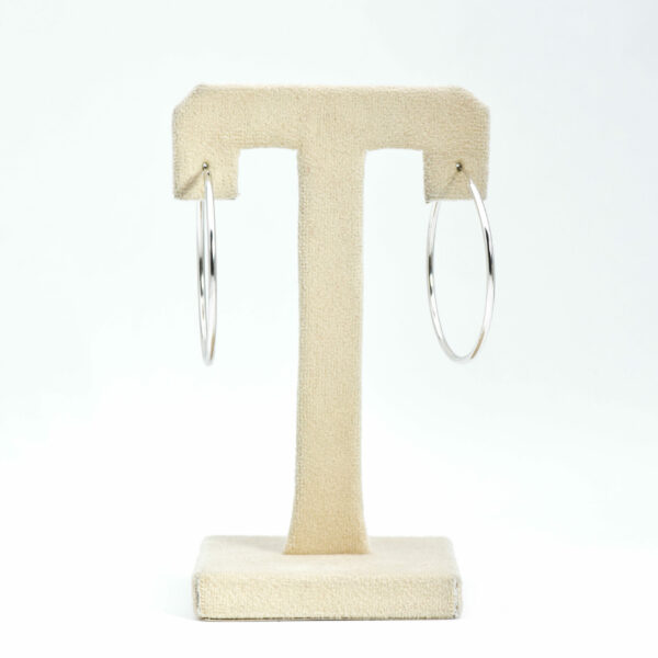 Celeste Hooks Earring - Image 3