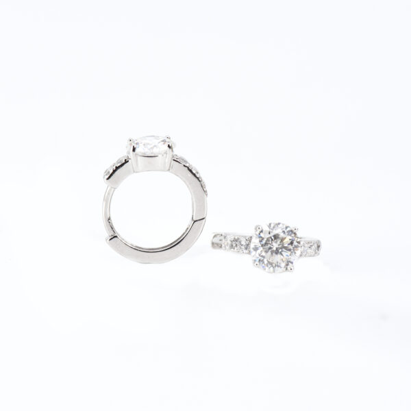 Sparkle Whimsy Earring