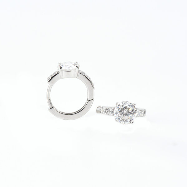 Sparkle Whimsy Earring