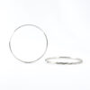 Shimmer Hooks Earring
