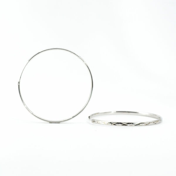 Shimmer Hooks Earring