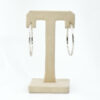Shimmer Hooks Earring - Image 3