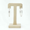 Shimmer Hooks Earring - Image 3