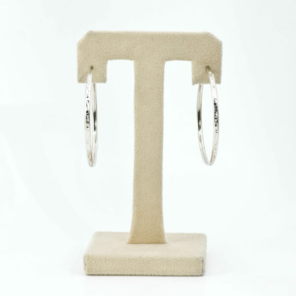 Shimmer Hooks Earring - Image 3