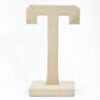 Starlit Zircon Earstud - Image 3