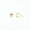 Golden Charm Earring