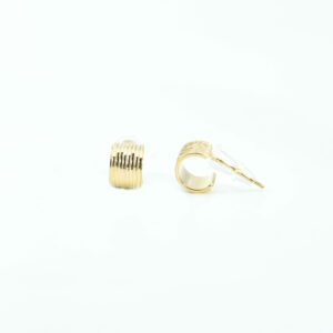 Golden Charm Earring