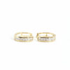 Golden Glow Gipsy - Image 2