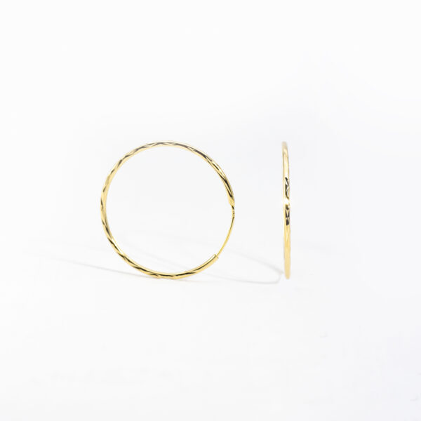 Golden Hooks Earring - Image 2