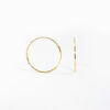 Golden Hooks Earring - Image 2