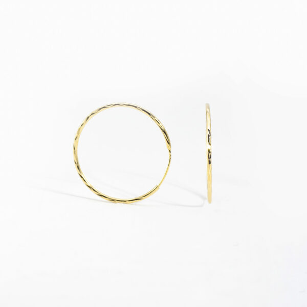 Golden Hooks Earring - Image 2