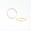 Golden Hooks Earring