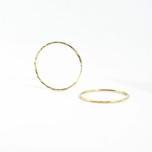 Golden Hooks Earring