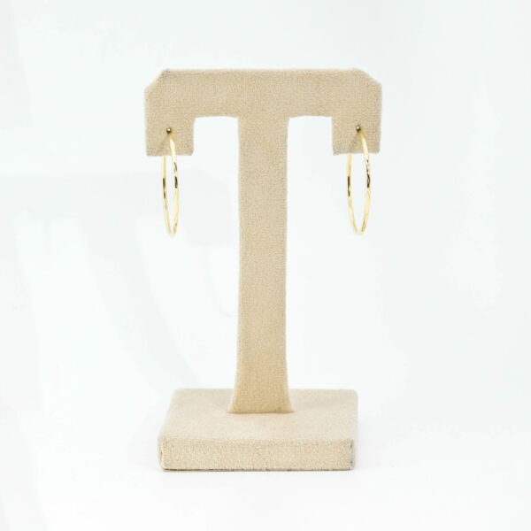 Golden Hooks Earring - Image 3