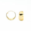 Sunbeam Hooks Earring
