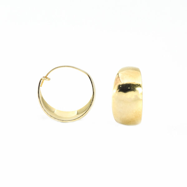 Sunbeam Hooks Earring