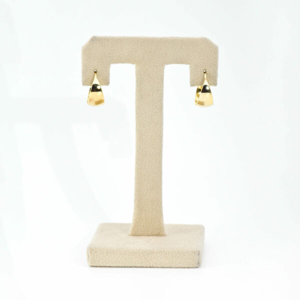 Sunbeam Hooks Earring - Image 3