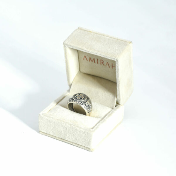 Guardian Band Ring - Image 3
