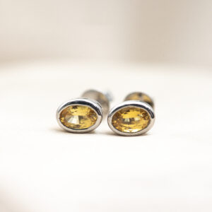 Sunset Bliss Earrings