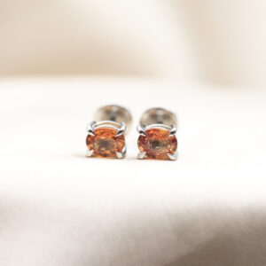 Sunset Blaze Earrings
